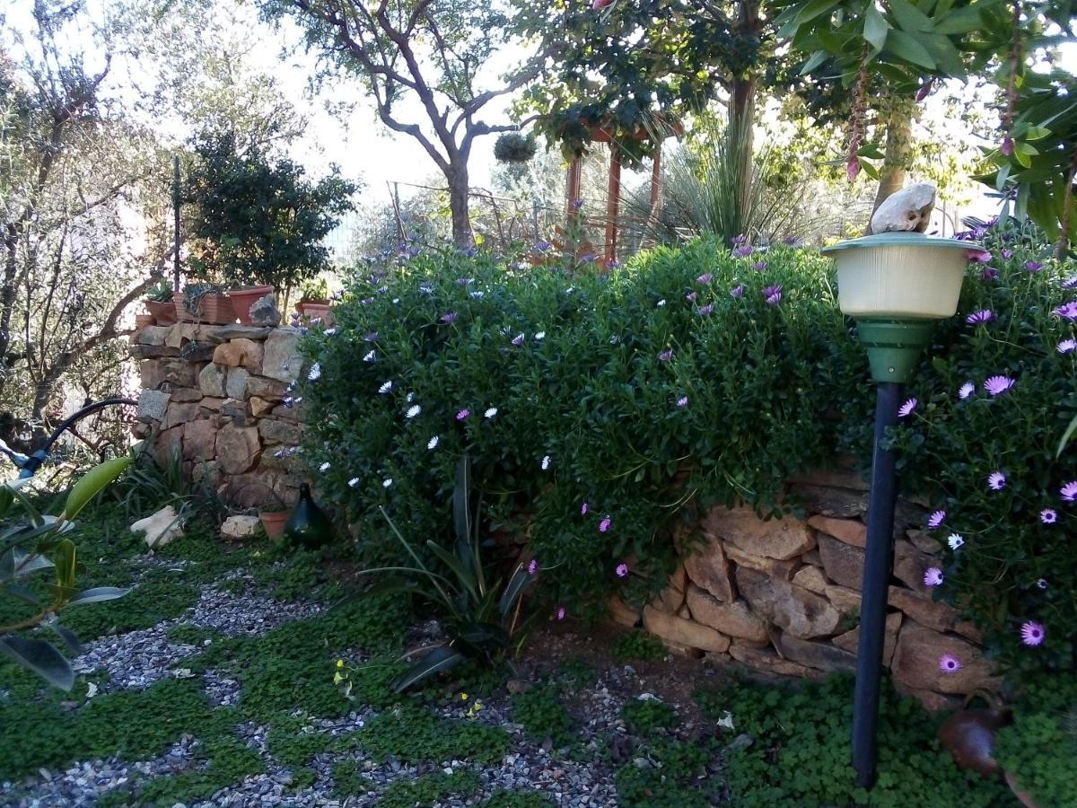 Appartamento Titina Jerzu Extérieur photo